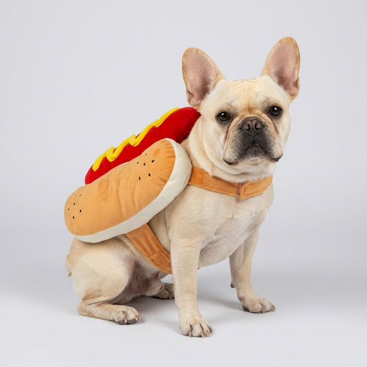 Cream French Bulldog sitting in the plush hot dog Halloween costume