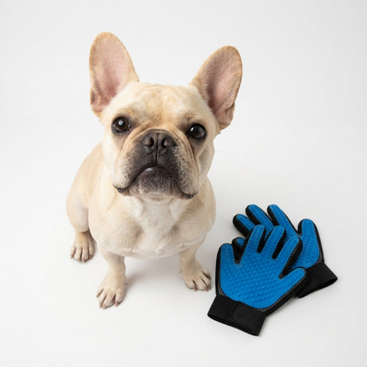 The Frenchie Grooming Glove — Silicone De-Shedding & Massage Glove