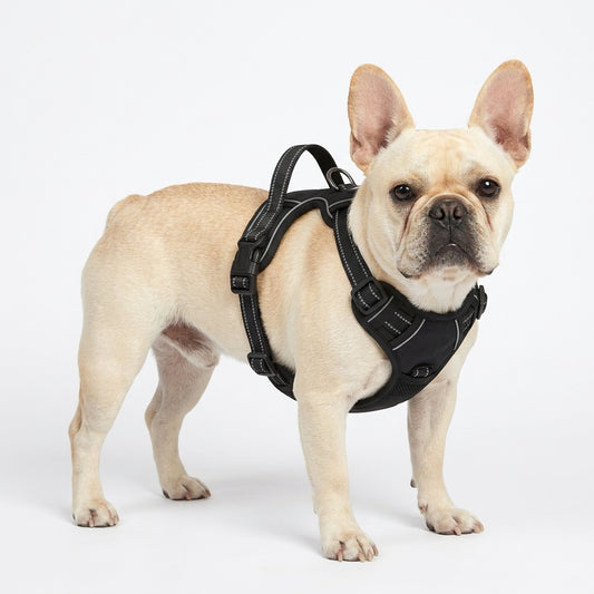 The Frenchie Night-Walk Harness — Reflective No-Pull Vest