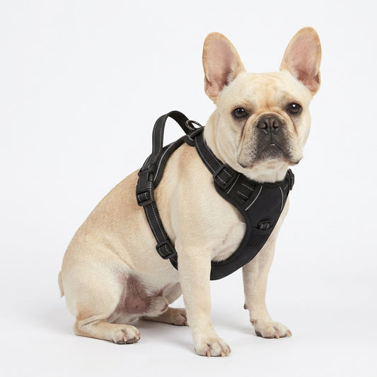 The Frenchie Night-Walk Harness — Reflective No-Pull Vest