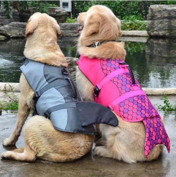 Pooch Pool Safety Vest